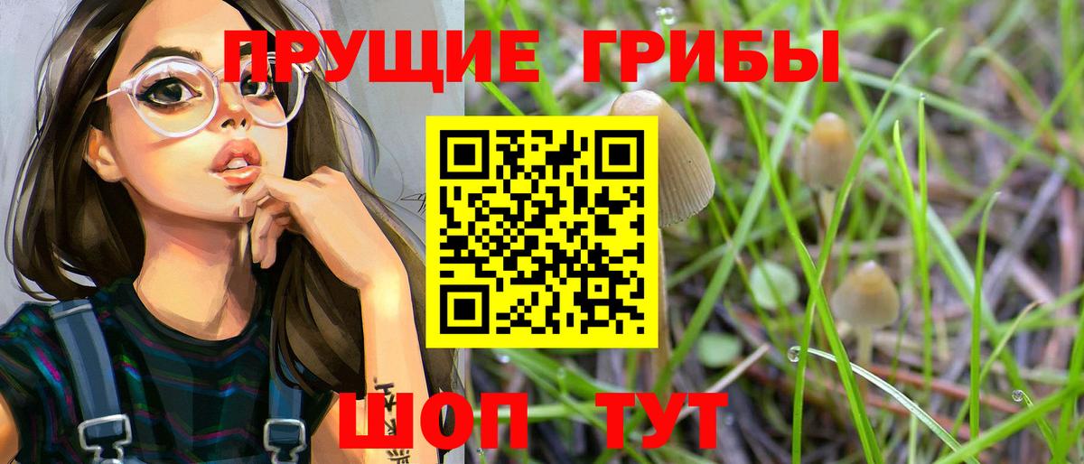 Псилоцибиновые грибы GOLDEN TEACHER Курган