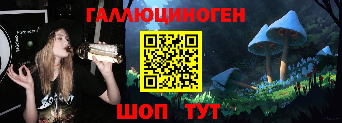 Галлюциногенные грибы Psilocybine cubensis  Вход с VPN  Курган 